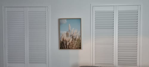 Customer photo review of Dusters of the Dune，Pampas Grass