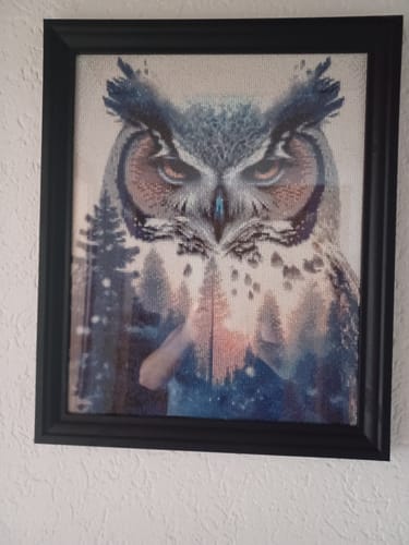 Customer photo review of 5D Diamond Painting AB Steine Natur Eule