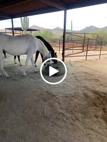 Customer video review of Hay Chix® 3-Strand Bale Net (West Coast Net)