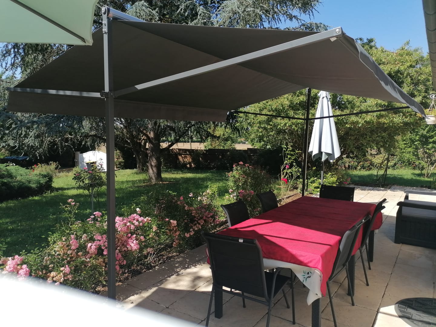 Customer photo review of ISEO