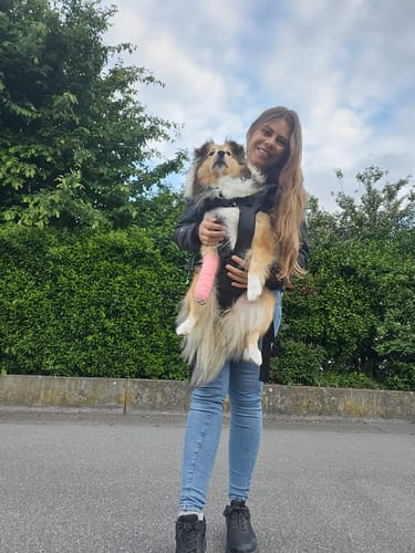 Customer photo review of PawPal Voyage Veste