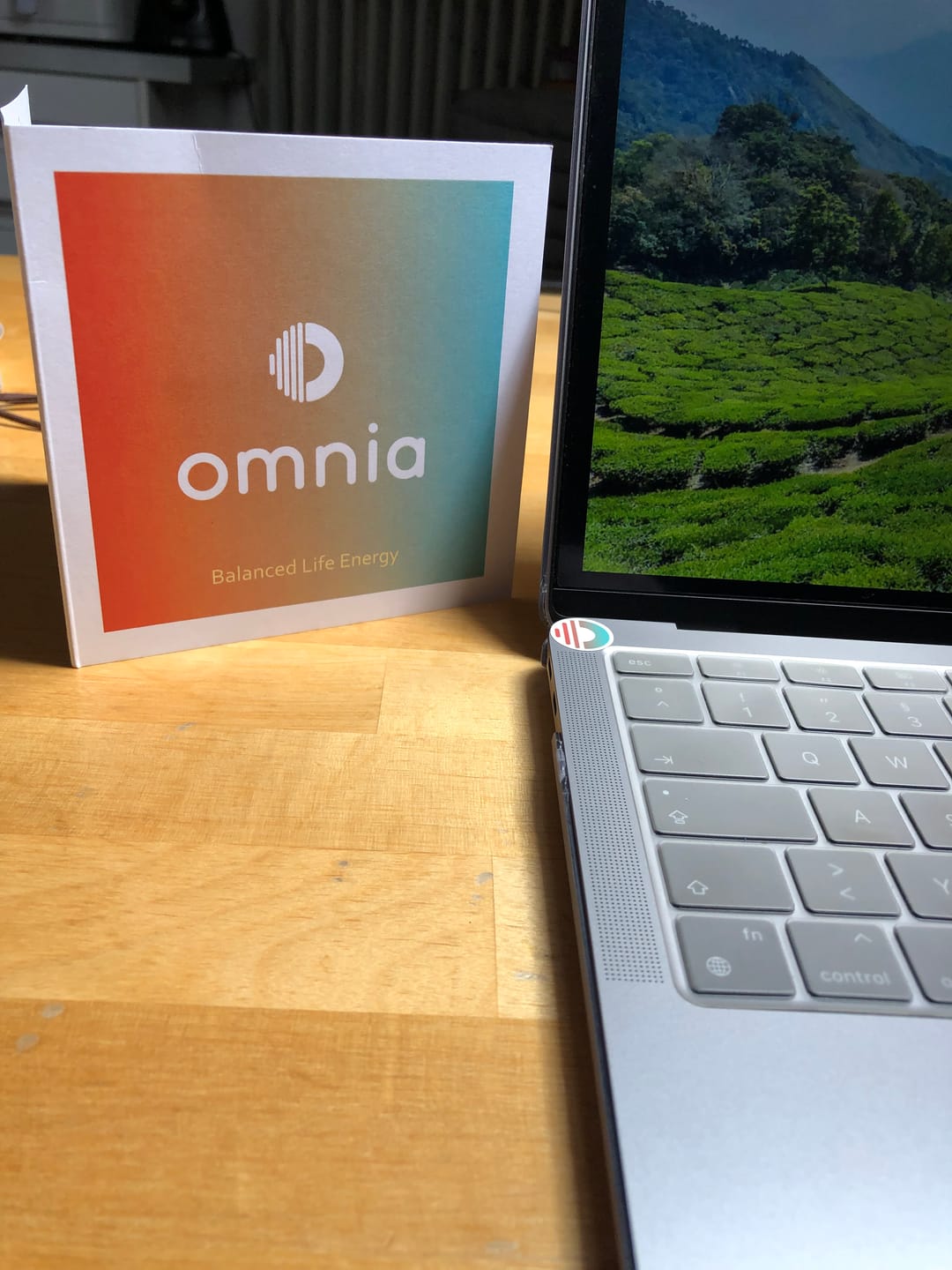 Customer photo review of Omnia Radiation Balancer Sticker Packs
