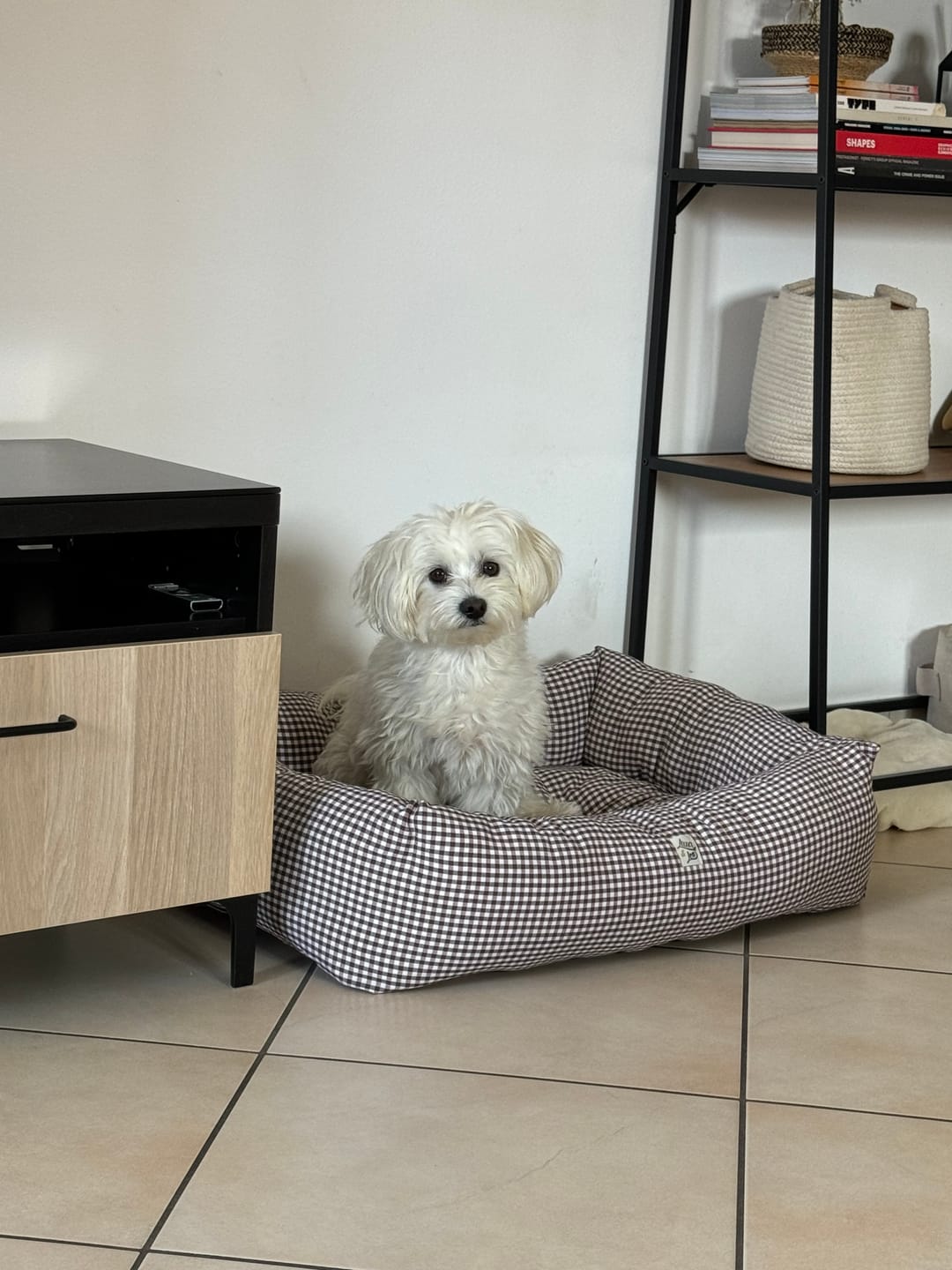 Customer photo review of Divanetto Vichy Marrone
