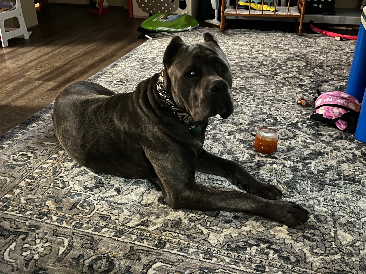 Customer photo review of THE GOLIATH