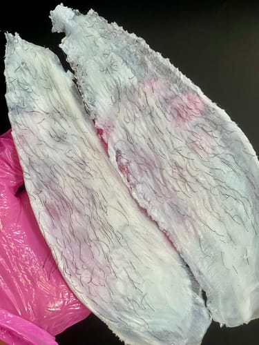 Customer photo review of Kai Hard Wax 1kg