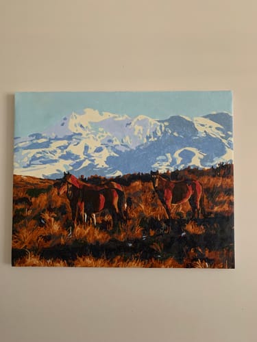 Customer photo review of Kaimanawa Horses