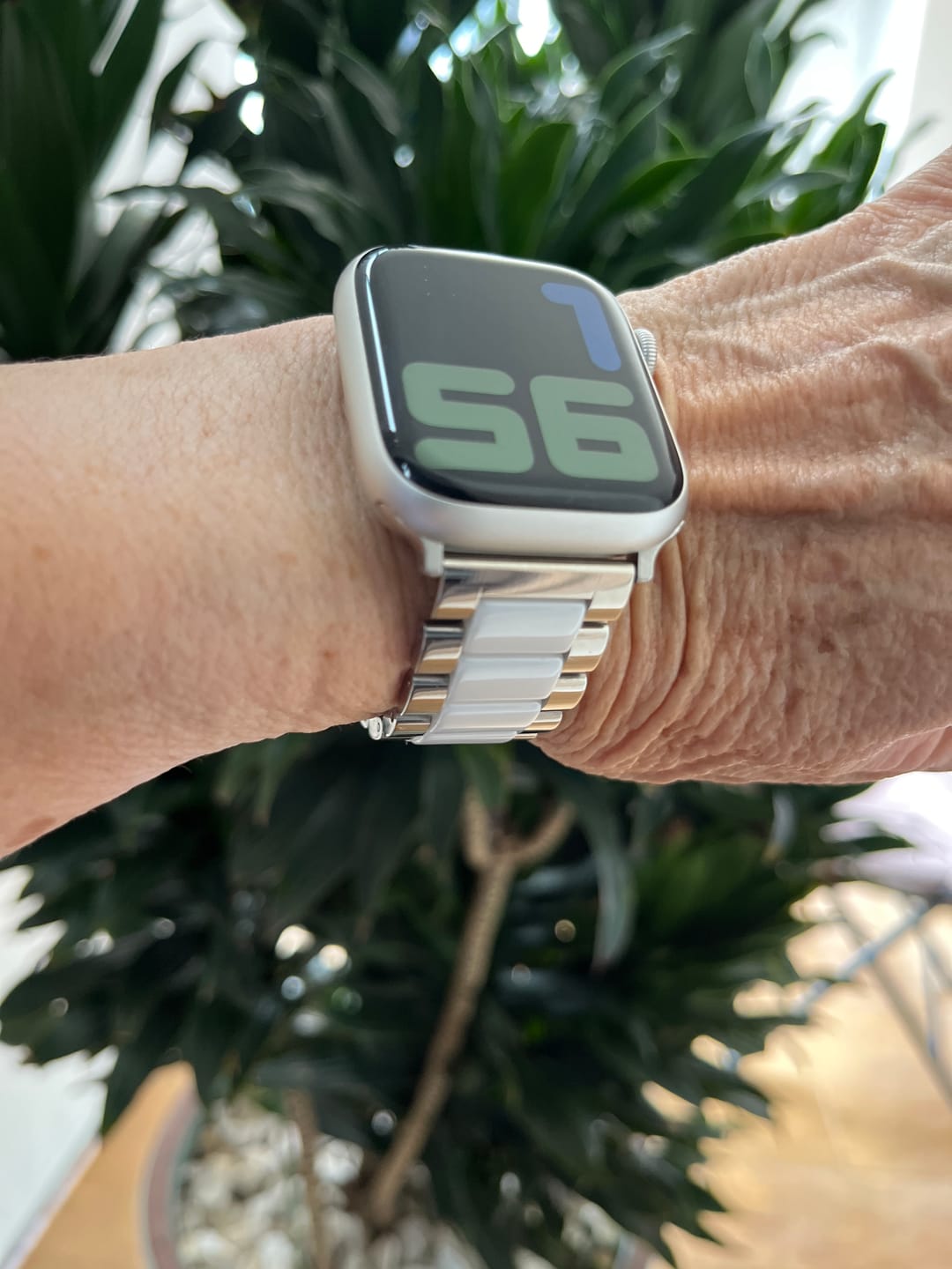 Customer photo review of Themis Stainless Band