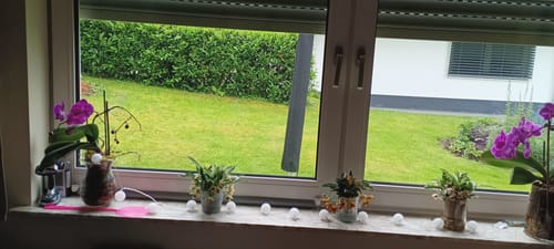 Customer photo review of Promenaea Sunlight im 3er Set