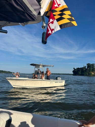 Customer photo review of Maryland Flag