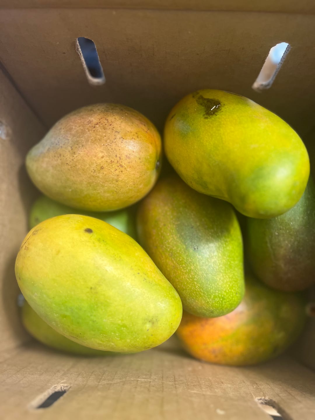 Customer photo review of Mango Mix Box