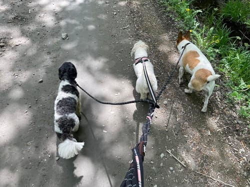 Customer photo review of FIDA Durable Slip Lead