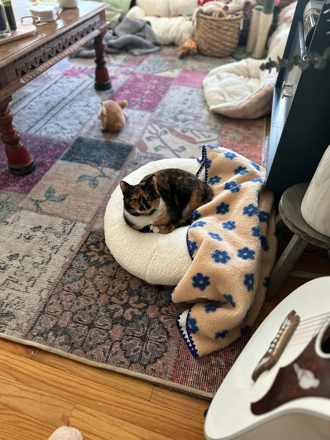 Customer photo review of Little Summer Blanket