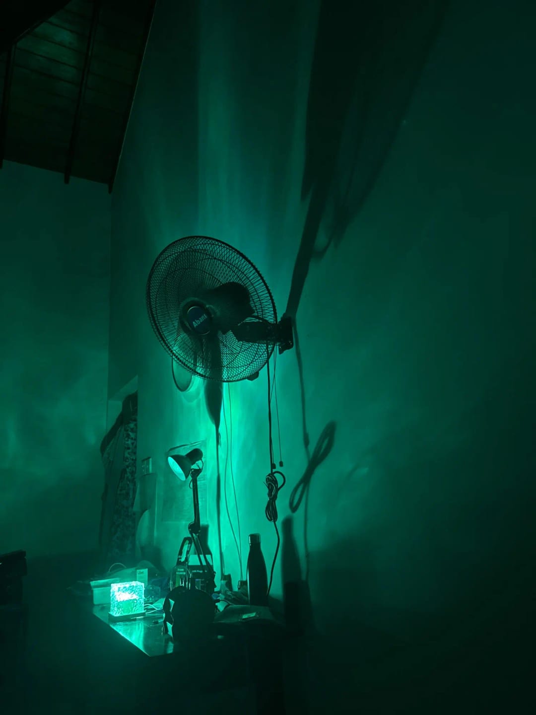 Customer photo review of Northern Lights Projector