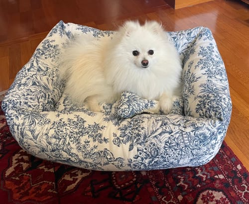 Customer photo review of Divanetto Cotone Toile De Jouy Bluette