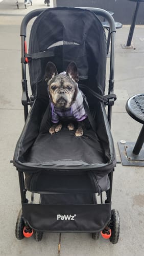 Customer photo review of PaWz Pet Dog Stroller Pram 4 Wheels