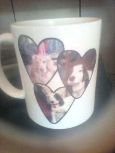 Customer photo review of Best pet dad - Personalised mug