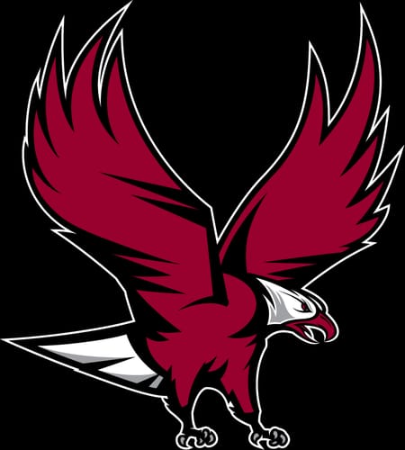 Customer photo review of Build Your Own Gang Sheet