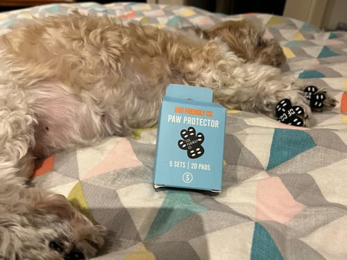 Customer photo review of Dog Paw Protector