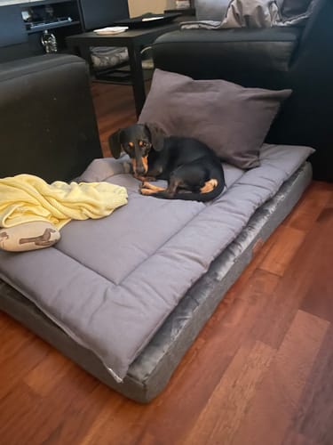 Customer photo review of Trapuntina Quadro Cotone Siena