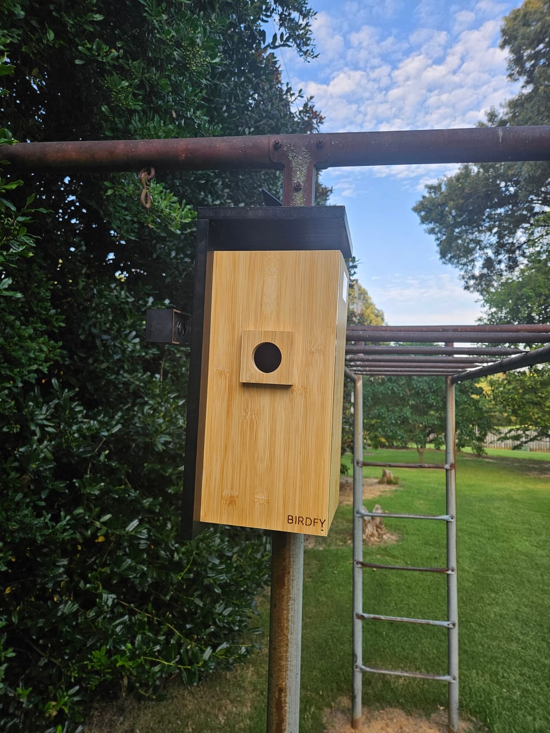 Customer photo review of Birdfy Nest - Smart Bird House with Dual Cameras