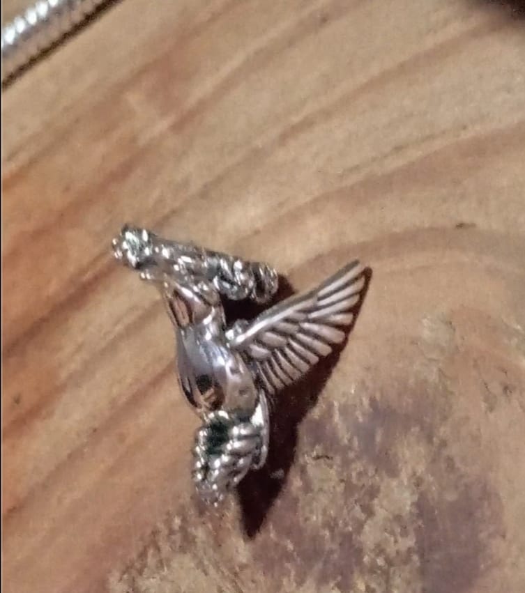 Customer photo review of Charm Colibri Mistico