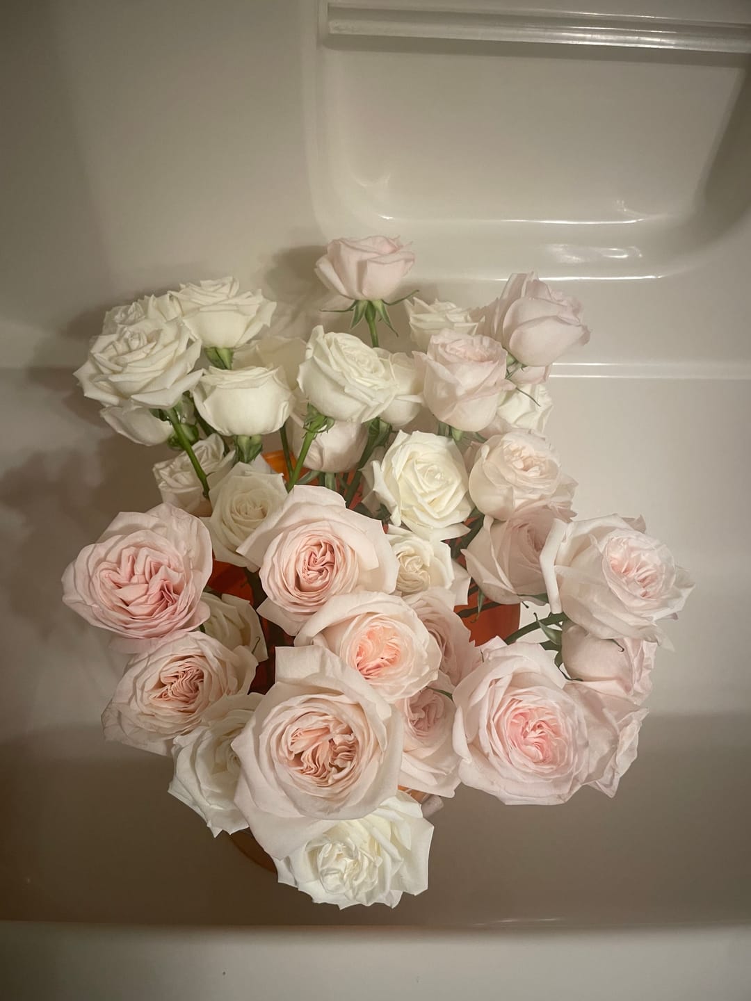 Customer photo review of Playa Blanca Rose