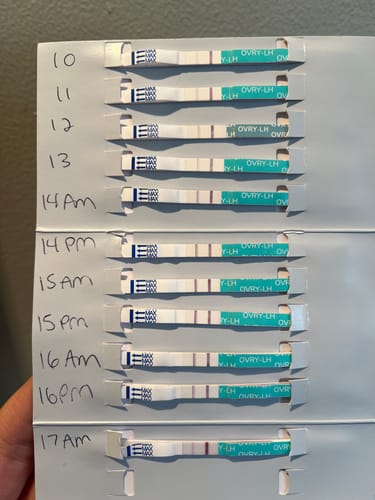 Customer photo review of Ovulation Test Strips