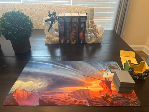 Customer photo review of Custom Playmat (24" x 14")