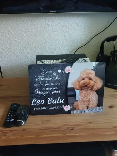 Customer photo review of Hunde Gedenktafel mit Foto & Spruch (UV- & Wetterfest)