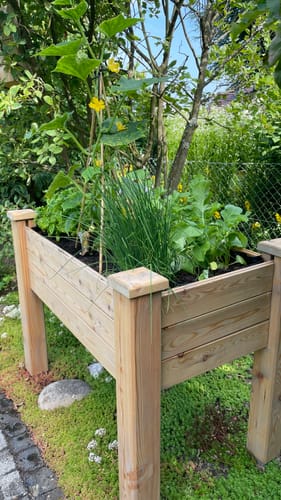 Customer photo review of Hochbeet Windsor aus Lärchenholz für Balkon L 100 x B 60 x H 75 cm