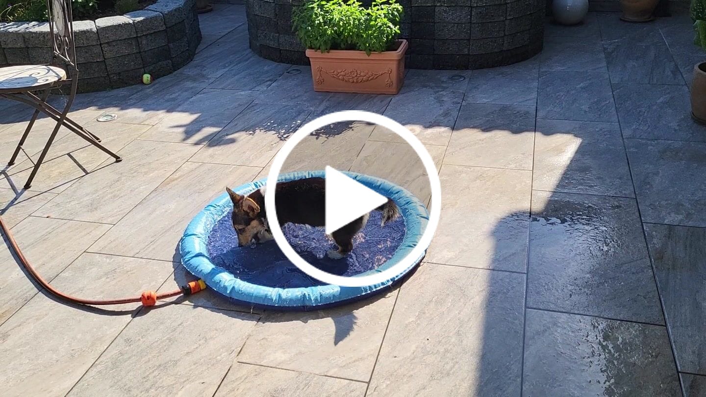 Customer video review of Sprinkler Wasserspielmatte für Hunde