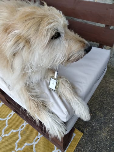 Customer photo review of Inspired by Enchanting - 827