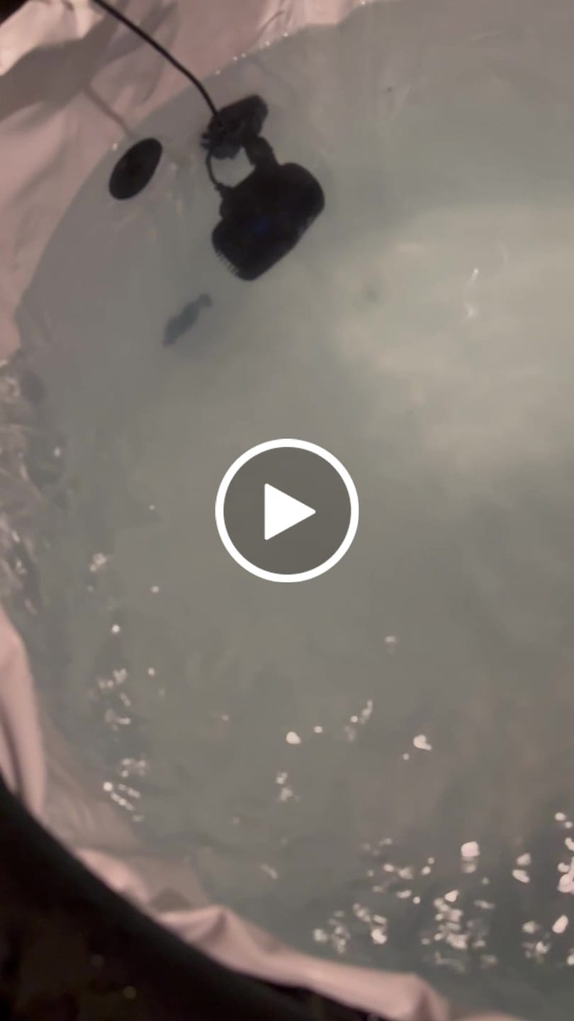 Customer video review of Water Circulation Jet