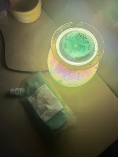 Customer photo review of Wax Tart: Pretty & Prickly Cactus Bags