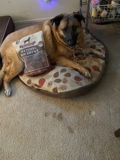 Customer photo review of Bully Stick Ring