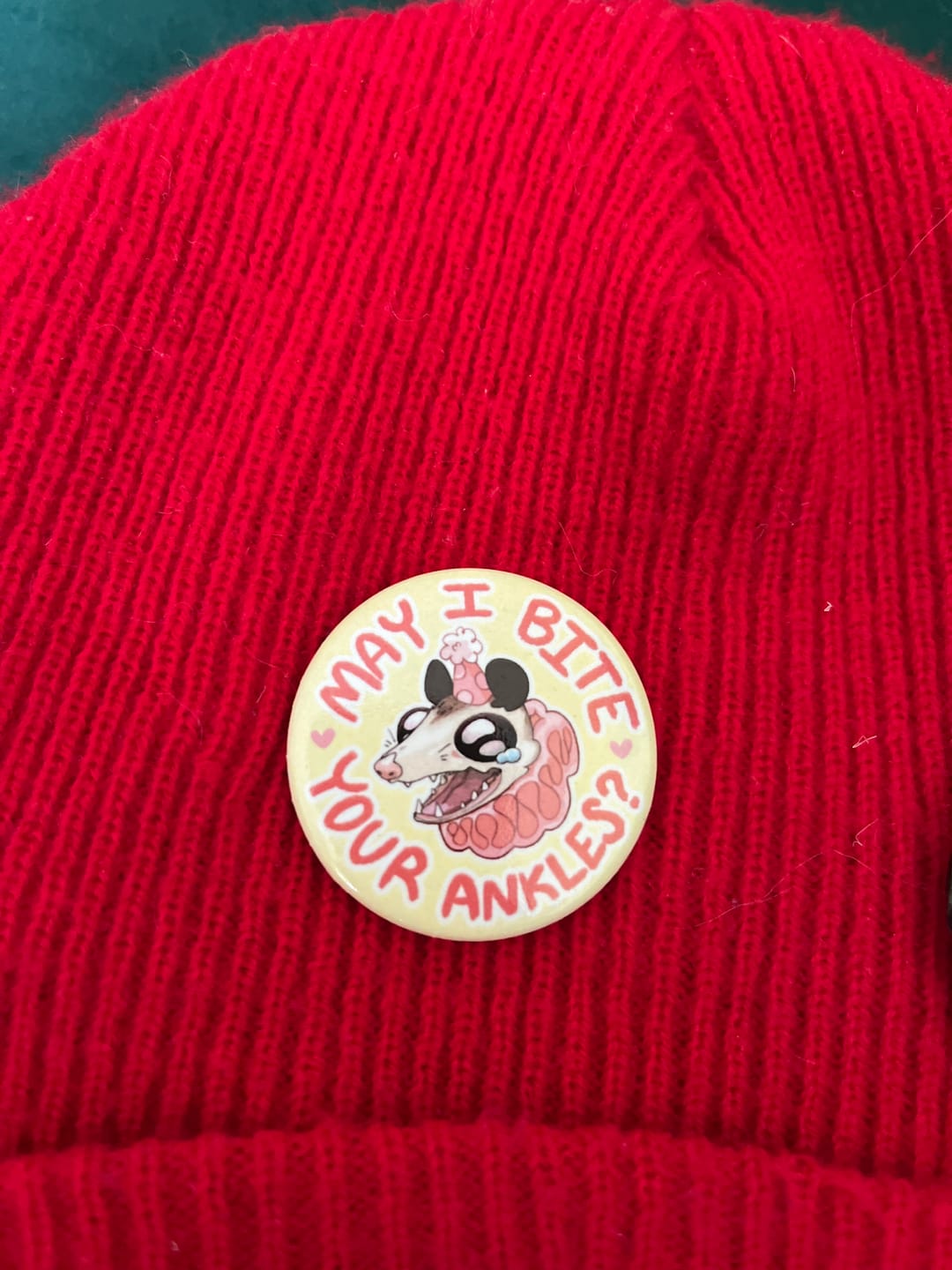 Customer photo review of Party Opossum Buttons