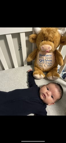 Customer photo review of Cubbies - Highland Cow