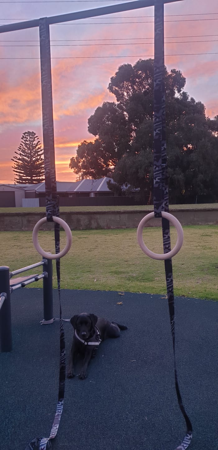 Customer photo review of Wood Gymnastic Rings