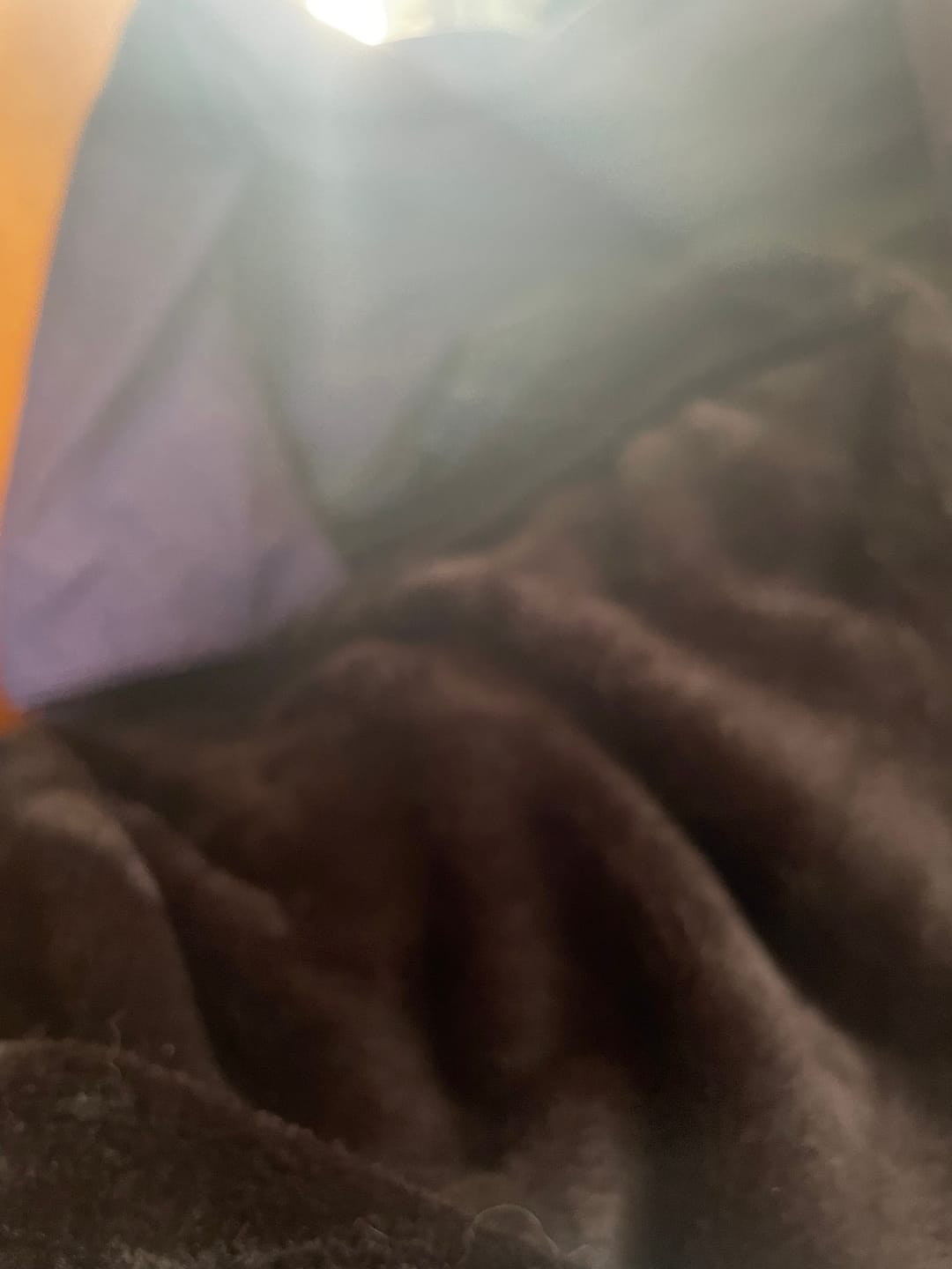 Customer photo review of The Mega Blanket