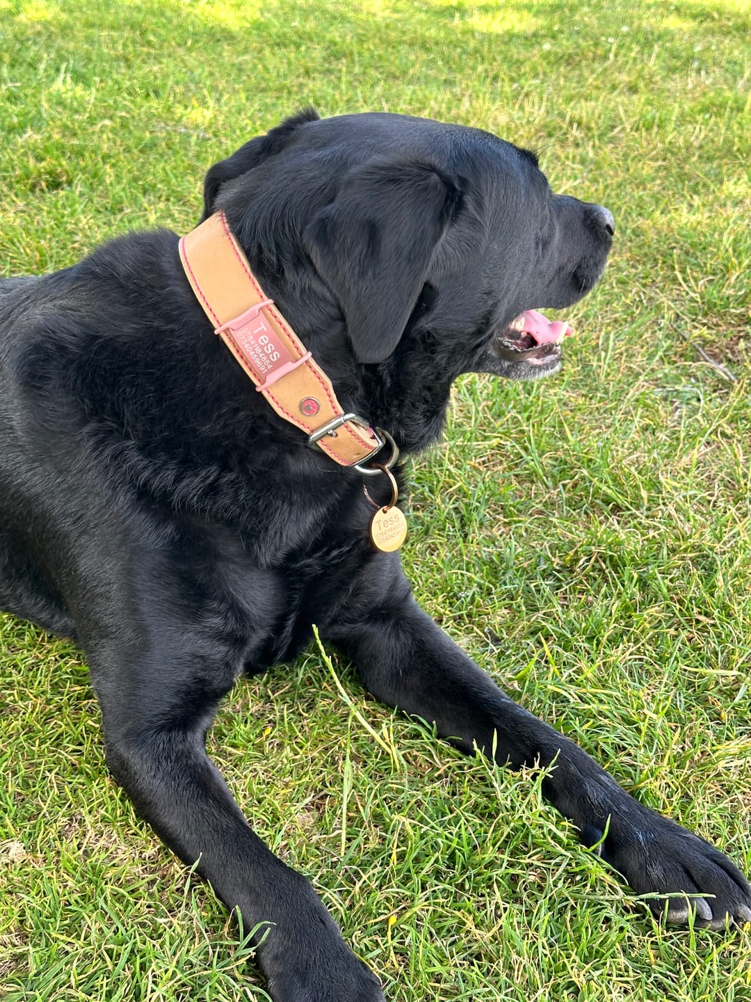 Customer photo review of ID Dog Tag - Rose Gold (With Gift Box)