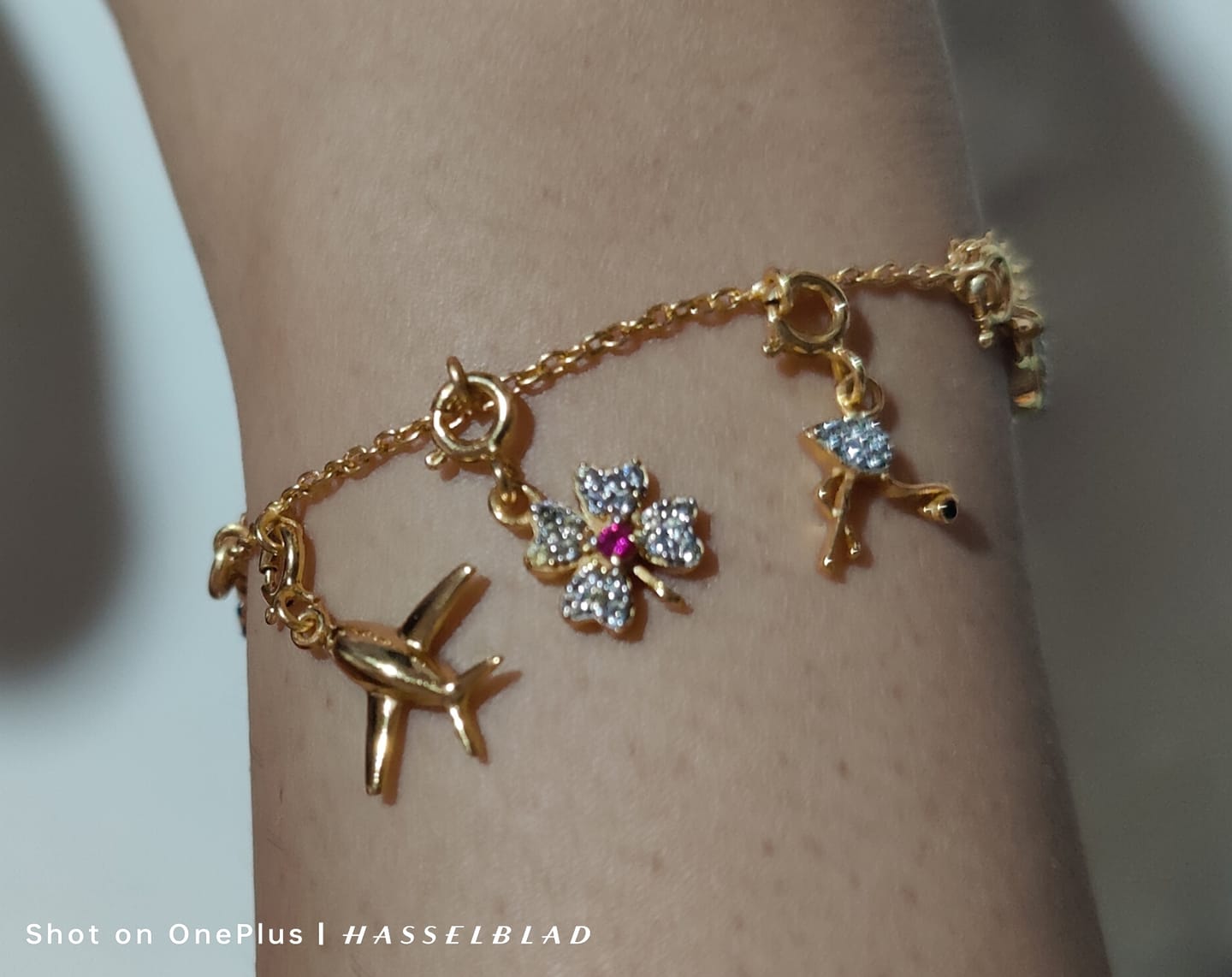 Customer photo review of Charms Bracelet