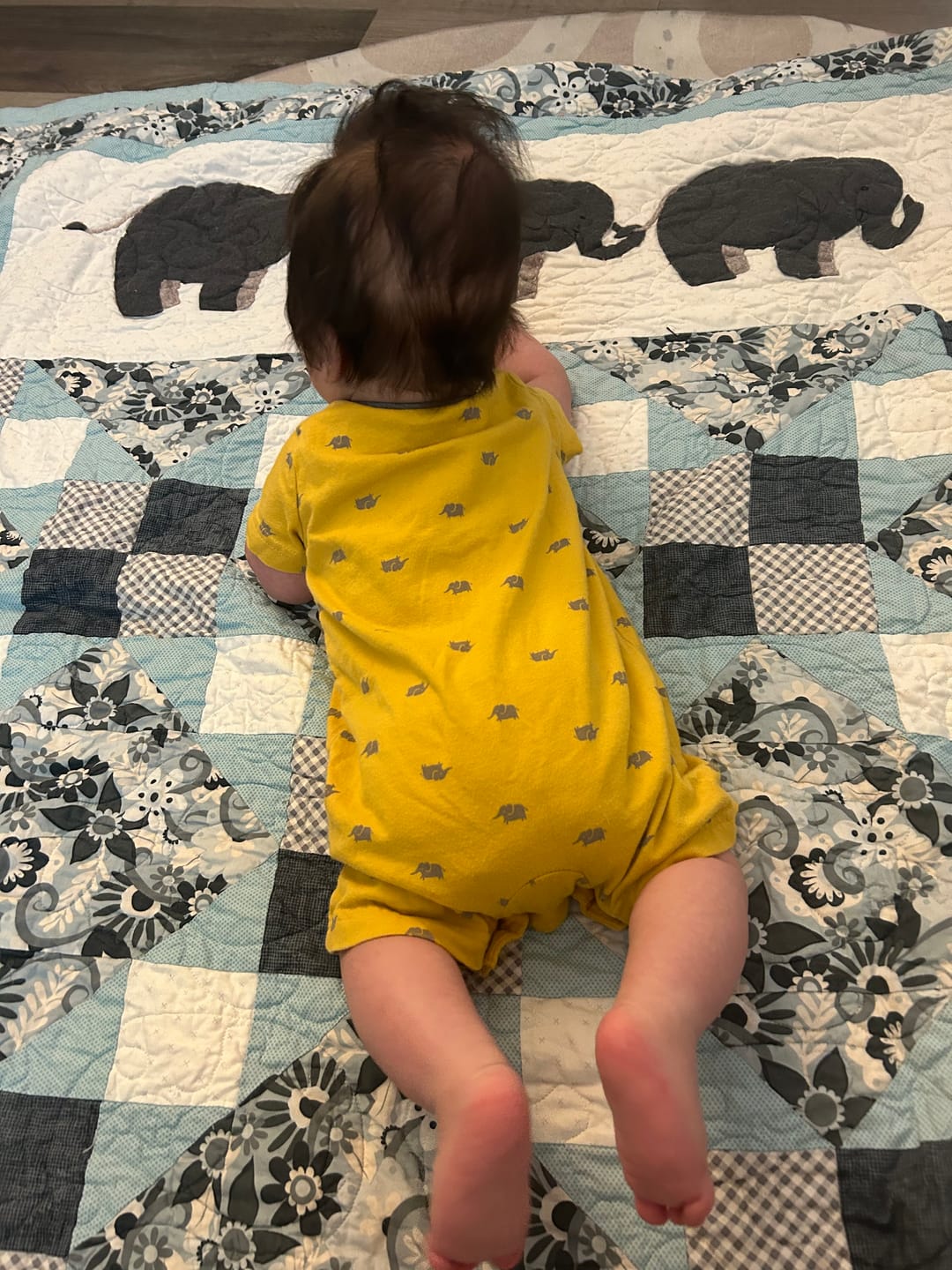 Customer photo review of 4-Layer Bamboo Natural Fiber Cloth Diaper Insert