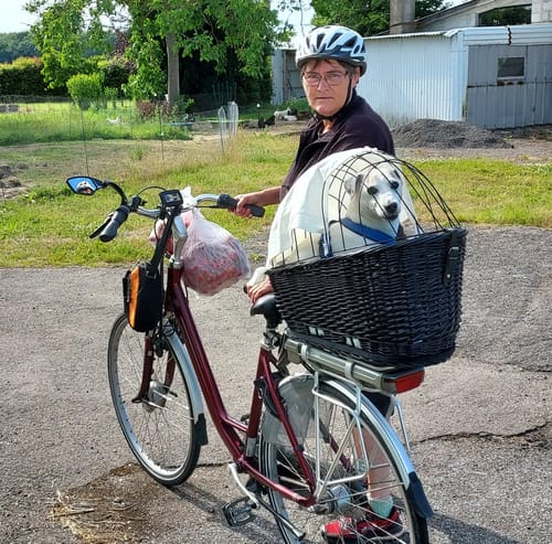 Customer photo review of Cykelkurv til hunde, til bagagebærer i sort flet