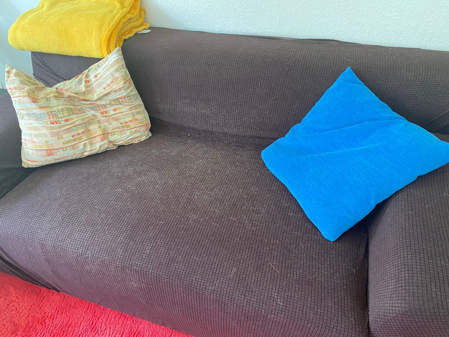 Customer photo review of Braun - Sofabezüge für klassische und Ecksofas - Wasserdicht und Ultrabeständig - Das Haus der Überzüge