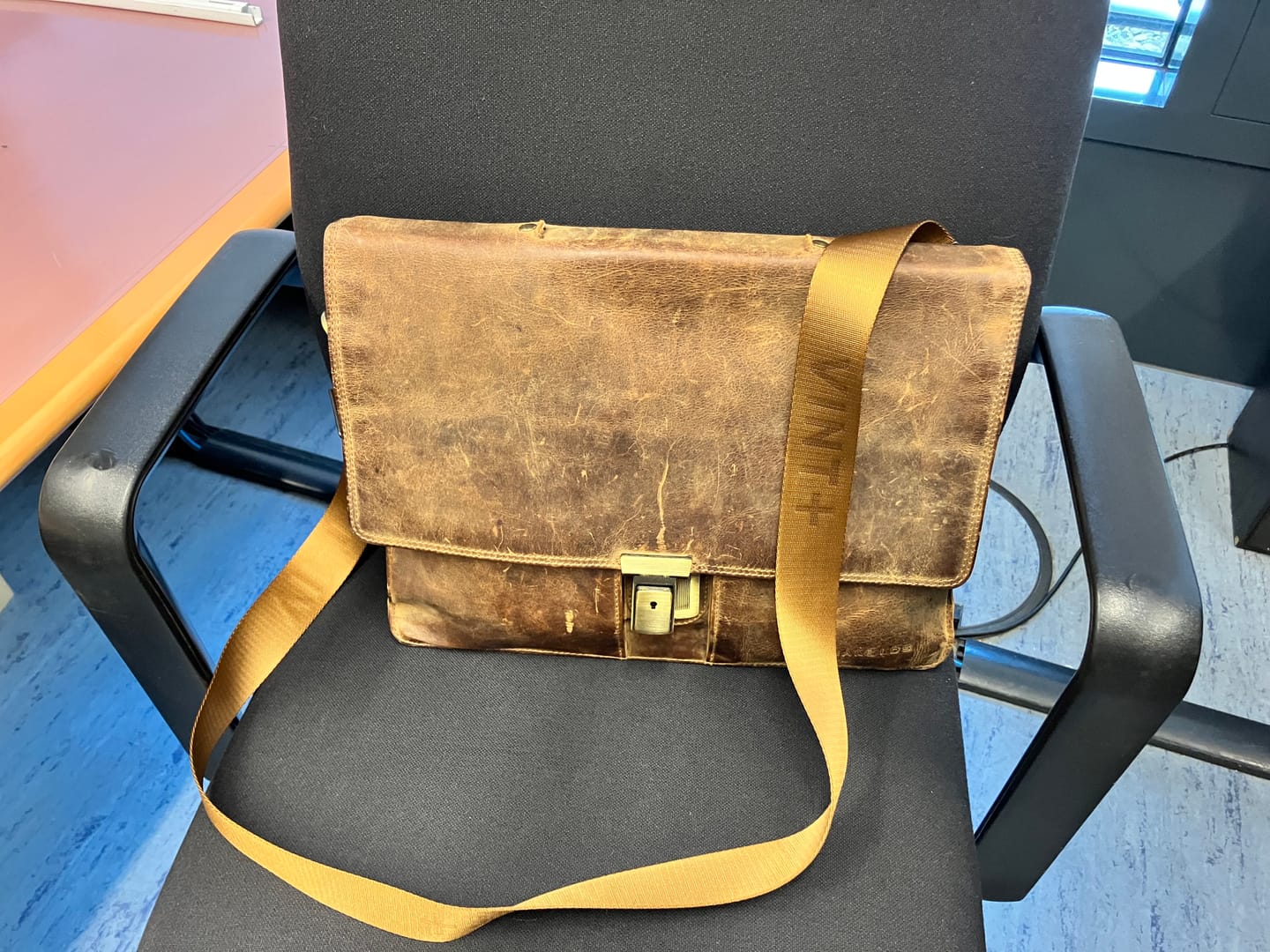 Customer photo review of TRAGEGURT - GOLDBRAUN