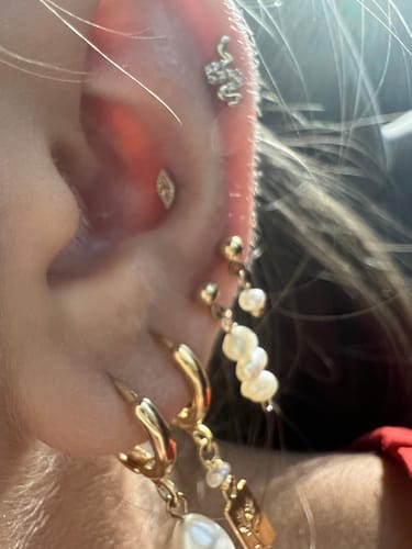 Customer photo review of Nice Earring set