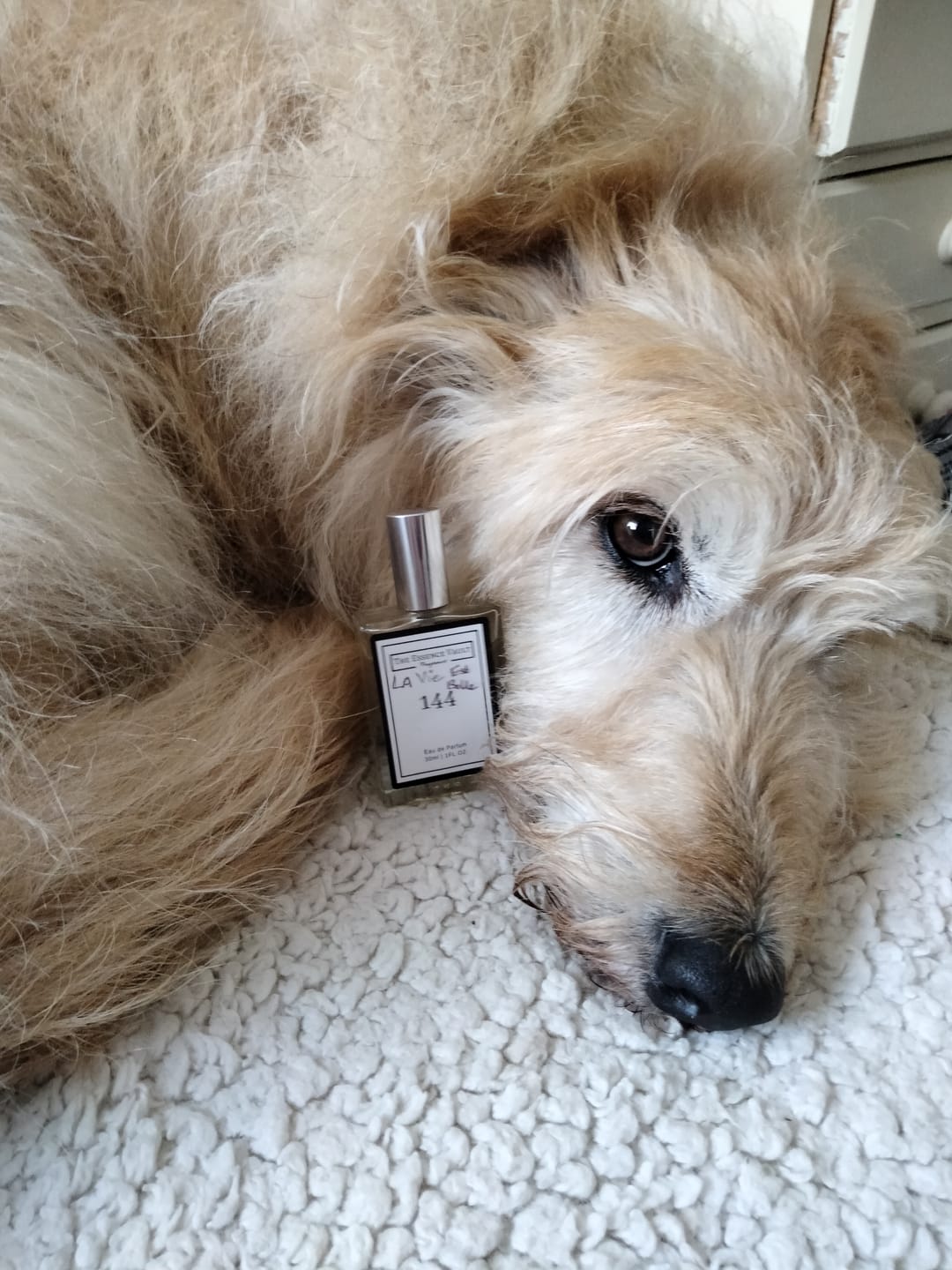 Customer photo review of Inspired by La Vie Est Belle - 144