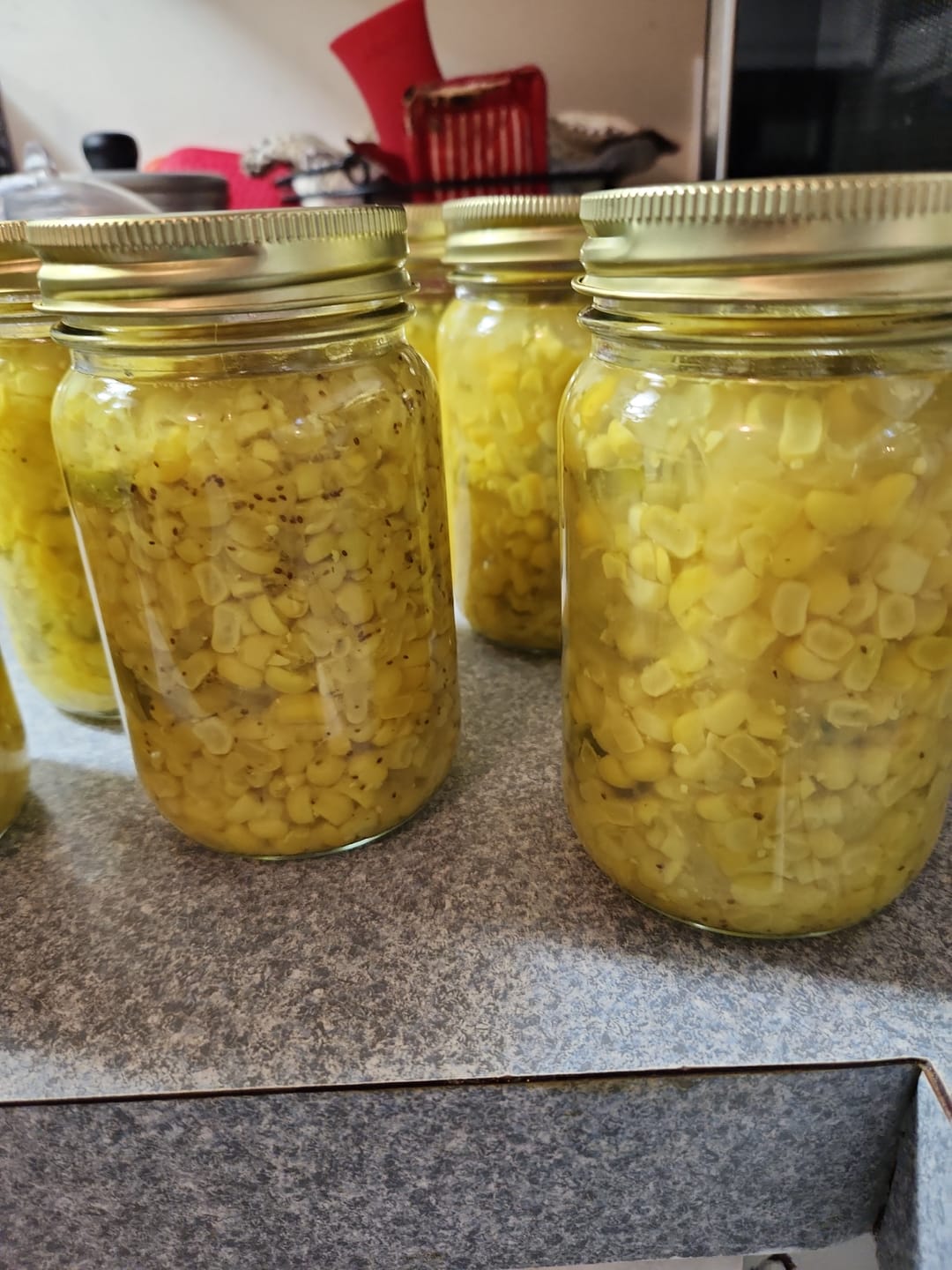 Customer photo review of 12 Pack Pint Size Canning Jars + Lids + Bands