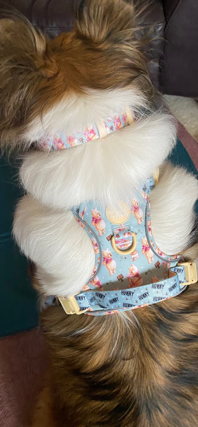 Customer photo review of Disney© Tough Trails™ Harness - Winnie The Pooh