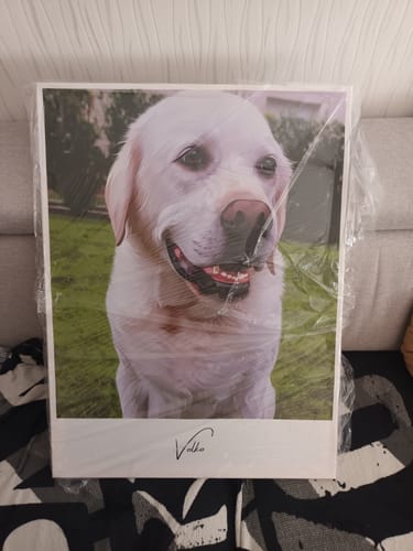 Customer photo review of Portrait Pop-Art & Prénoms (Sur Toile)